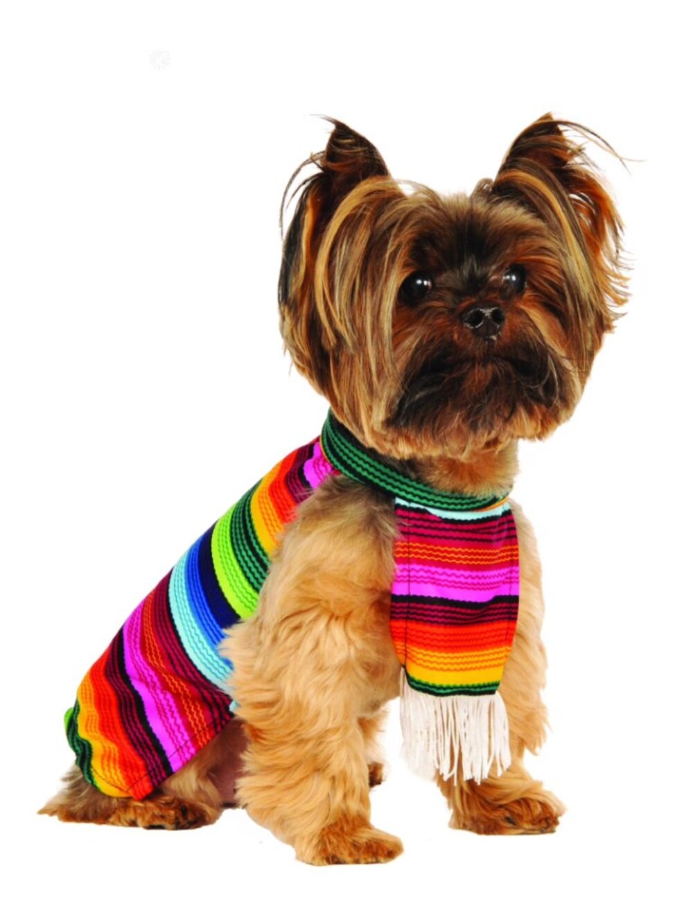 Pet Costume Serape